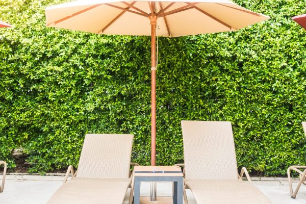 Umbrella chair around swimming pool
